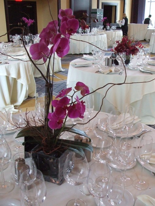 Phalenopsis Orchids for Table Centerpieces at the Liberty Hotel