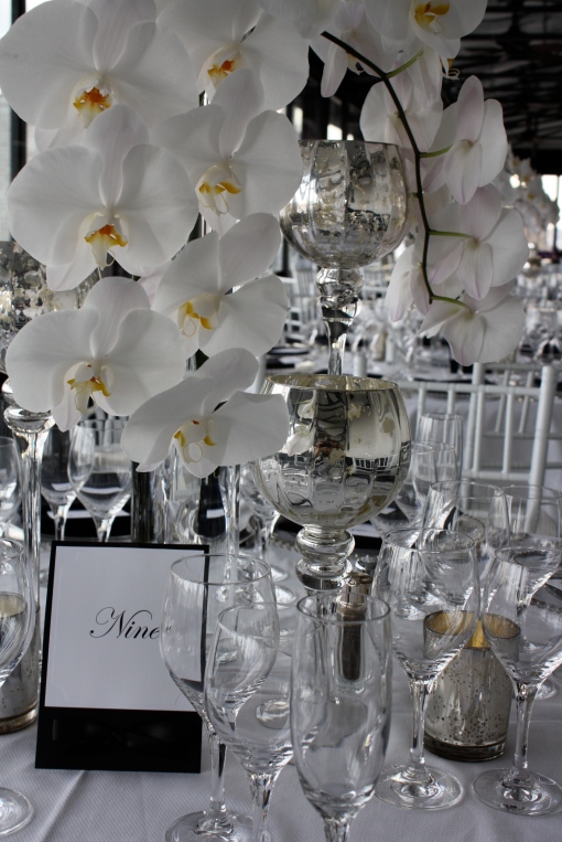 White phalenopsis orchids with silver glass white and black